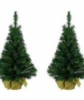 2x bureau kerstboompjes groen 45 cm 10174884
