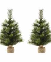 2x bureau kerstboompjes groen 45 cm