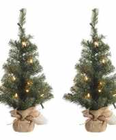 2x kerstmis nep dennenboompjes 75 cm met 35 lampjes warm wit