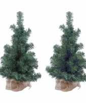 2x kleine kerstboom 45 cm
