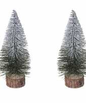 3x stuks kerstdecoratie kleine mini kerstboompjes besneeuwd 25 cm