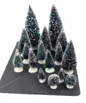 Kerstdorp onderdelen miniatuur set van 16x boompjes
